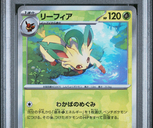 chinese pokemon booster box Traditional Chinese - Heat Wave Arena | sv9a F