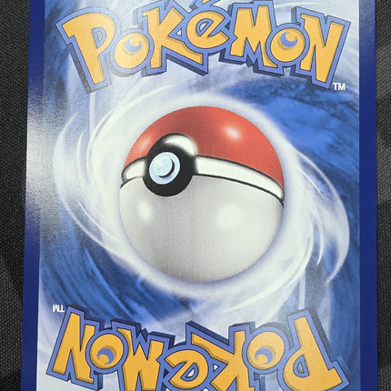 [Traditional Chinese] M1LF Mega Camerupt ex / 超級噴火駝 ex 077/063 SR