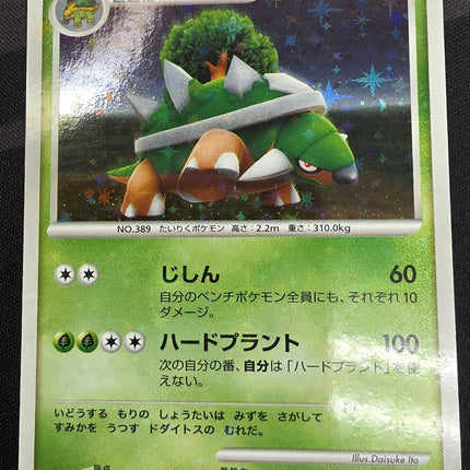 [Japanese] DP-P Torterra [Holo 1st Edition] / ドダイトス R