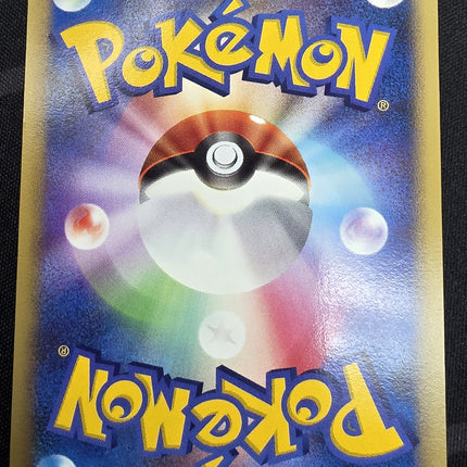 [Japanese] DP-P Torterra [Holo 1st Edition] / ドダイトス R