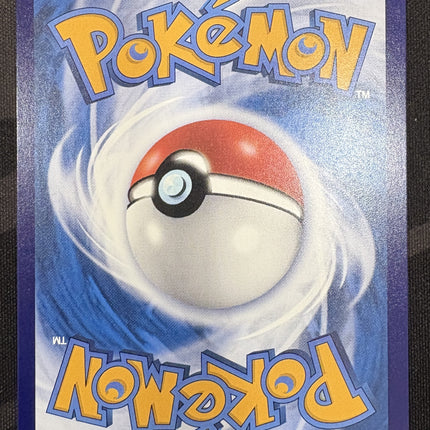 [Traditional Chinese] M6af 165/103 Magikarp / 鯉魚王