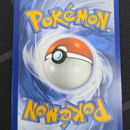 [English] PAl EN  Raichu 211/193 IR