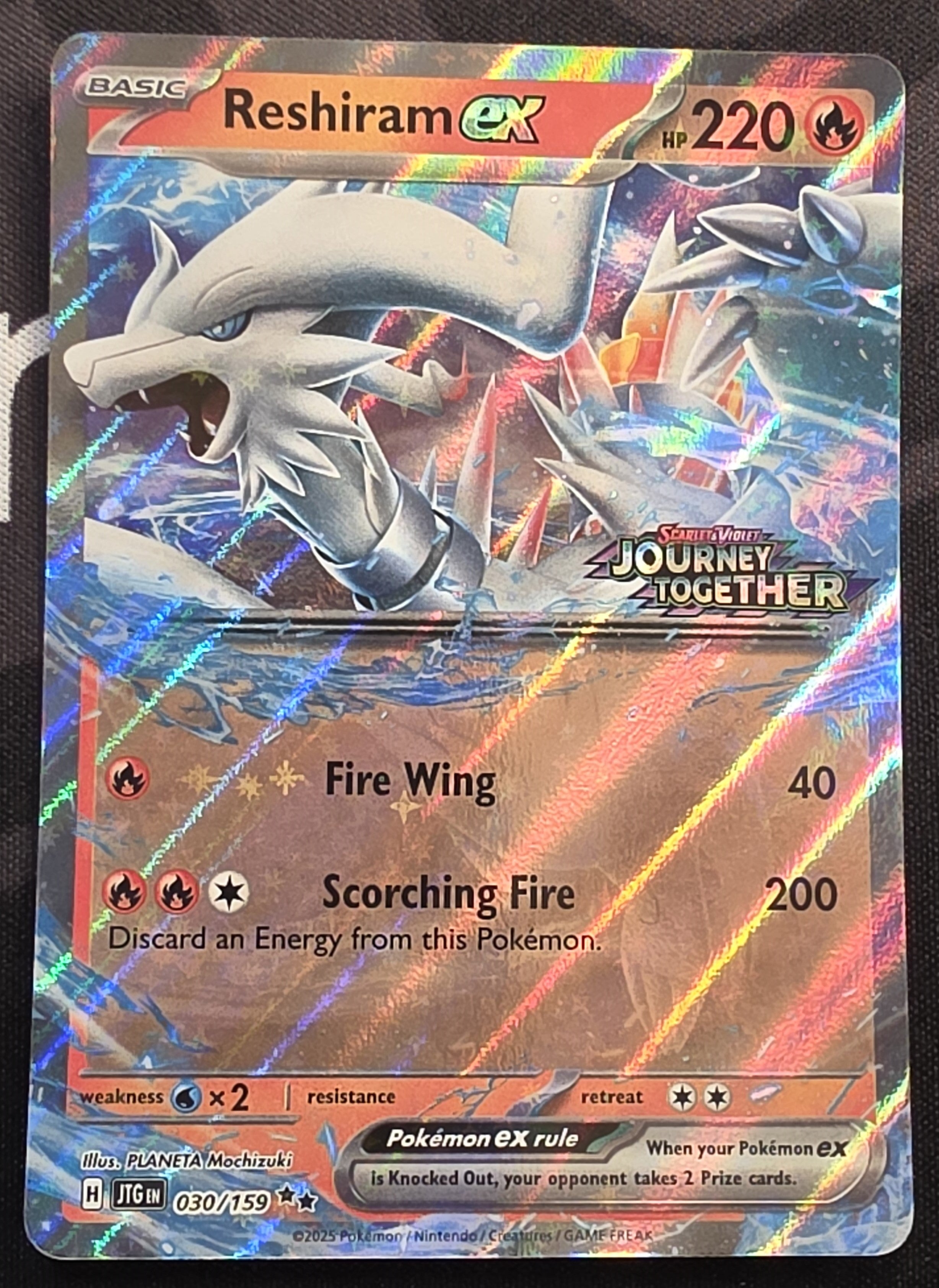 Pokémon – TCGHOBBY