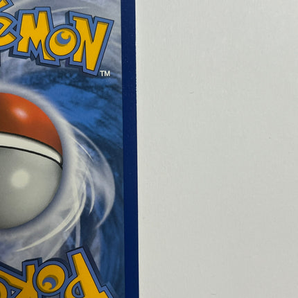 [English] RESHIRAM & CHARIZARD GX SM247