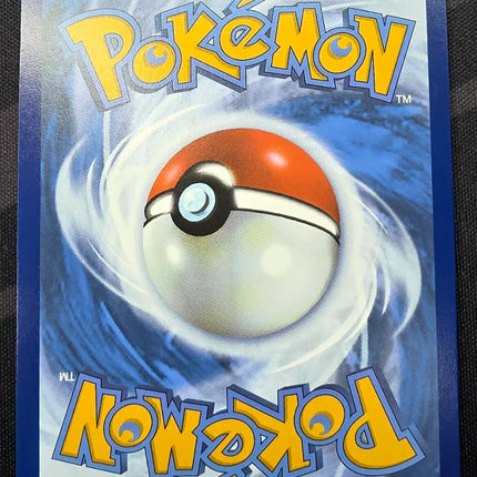 [English] MEG Mega Kangaskhan ex 164/132 UR