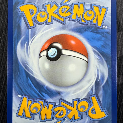 [English] PEL EN Flygon 101/094 IR