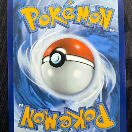[English] MEG EN Steelix 150/132 IR